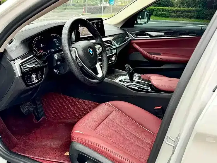 BMW 5 Series 2021 из CN, фото 5
