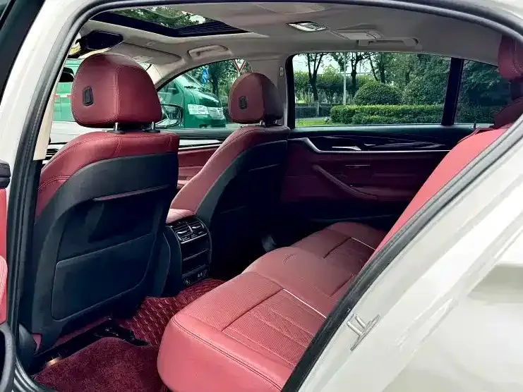 BMW 5 Series 2021 из CN, фото 6
