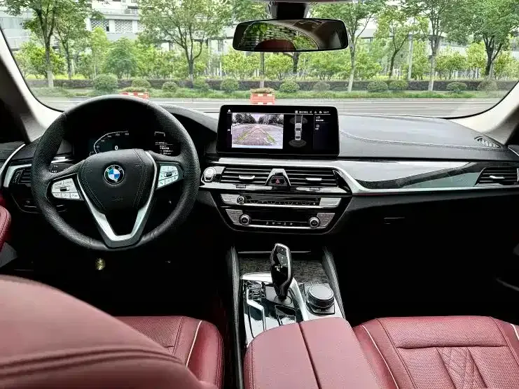 BMW 5 Series 2021 из CN, фото 7