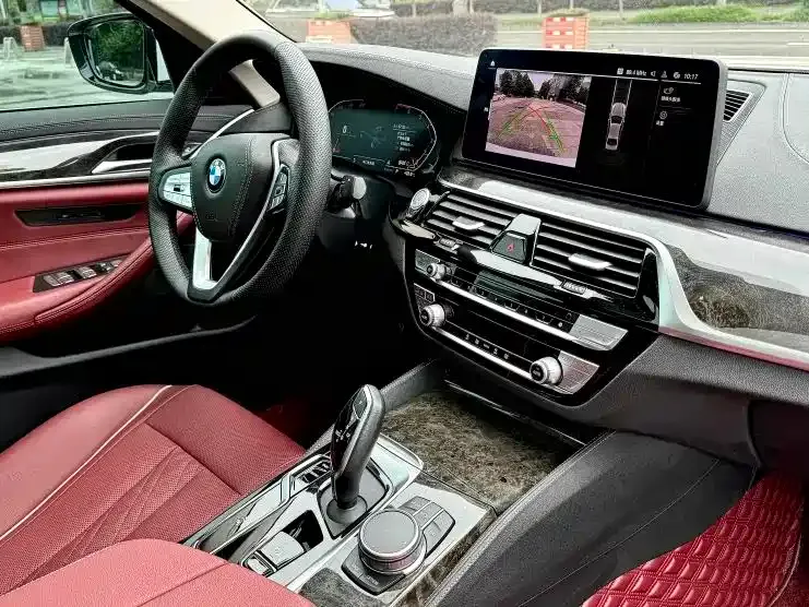 BMW 5 Series 2021 из CN, фото 8