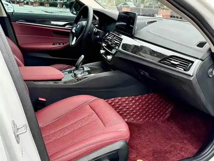 BMW 5 Series 2021 из CN, фото 9