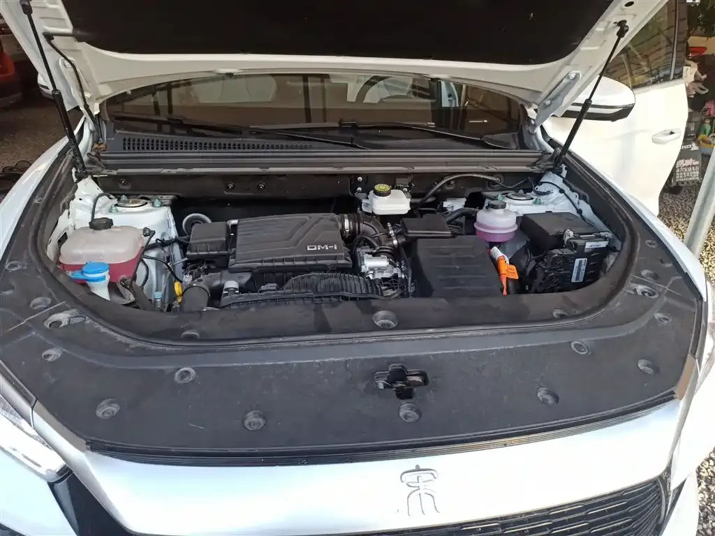 BYD Pro New Energy — фото 10