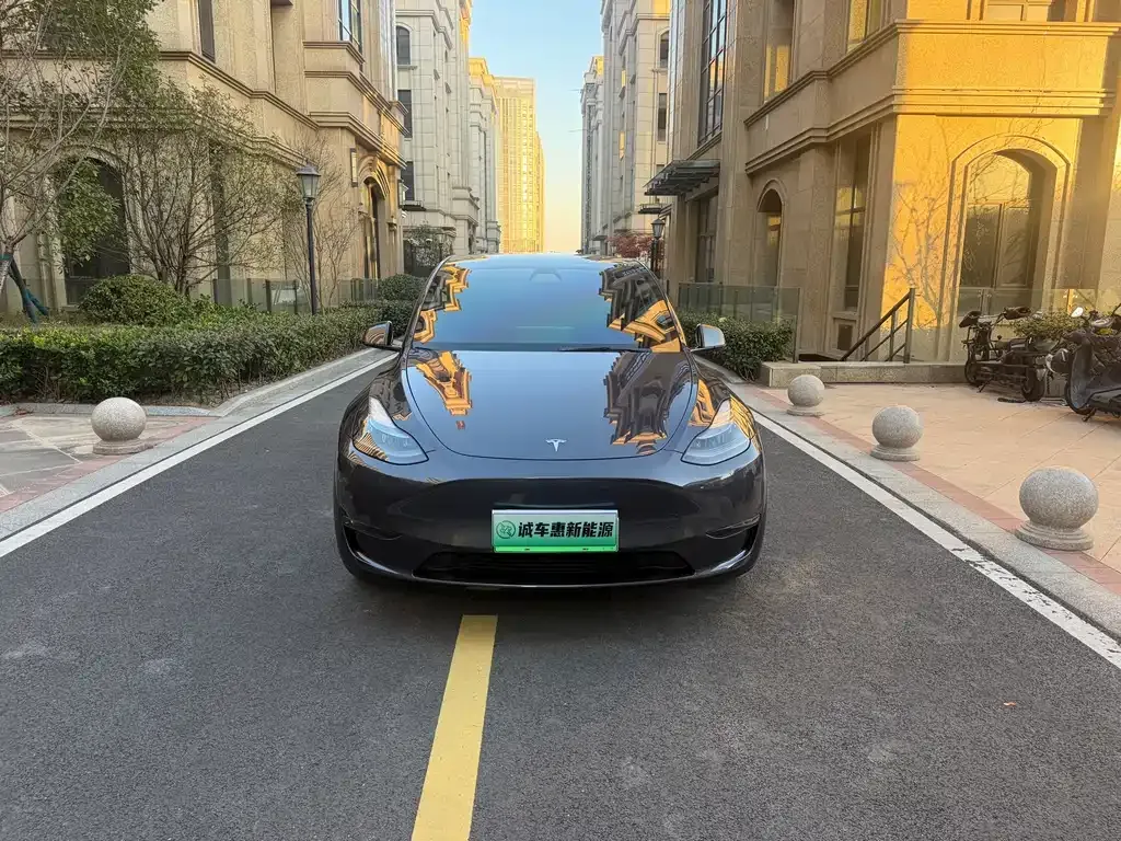 Tesla Model Y 2022 из CN, фото 2