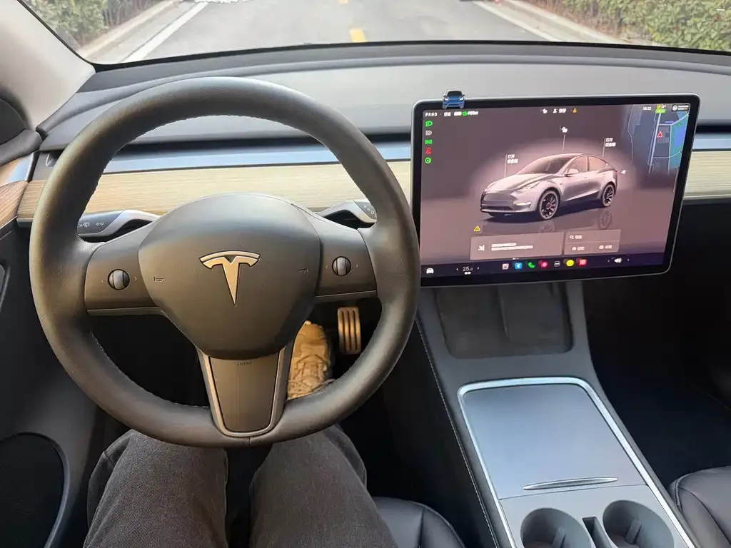 Tesla Model Y 2022 из CN, фото 8