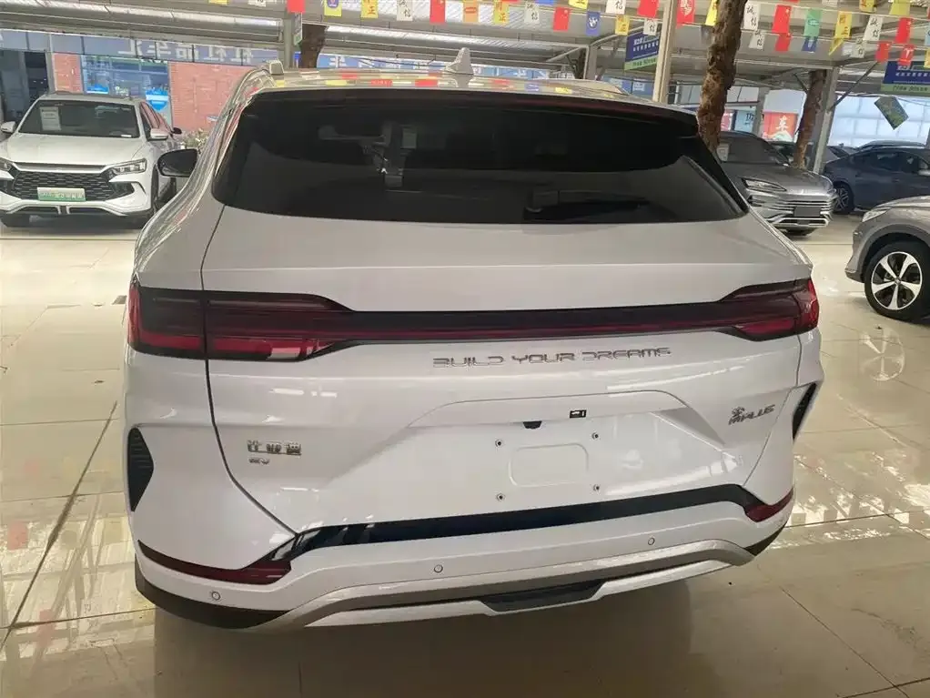 BYD PLUS New Energy 2023 из CN, фото 10