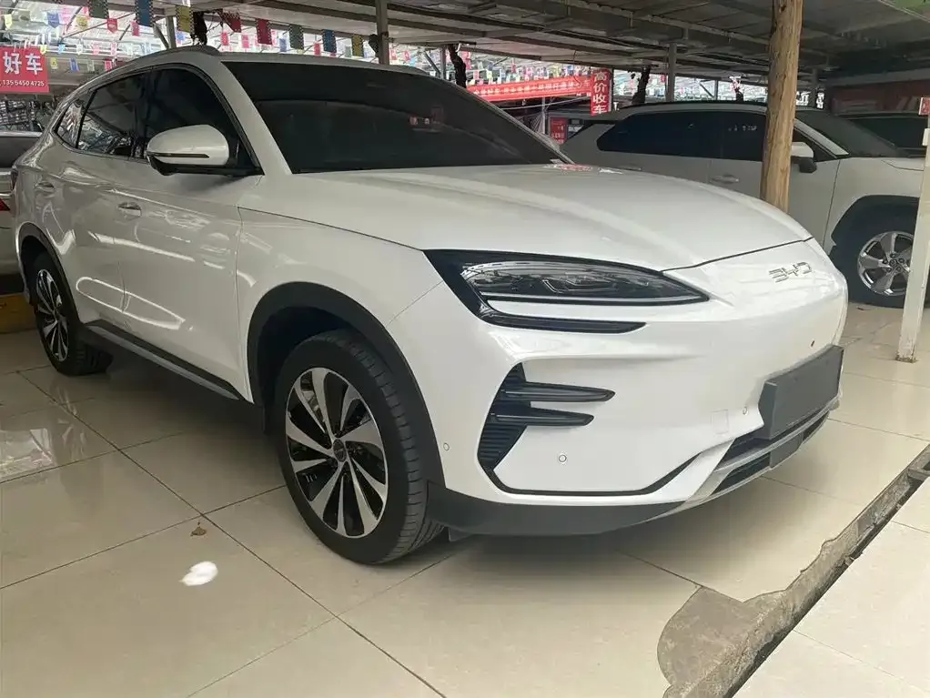 BYD PLUS New Energy 2023 из CN, фото 2