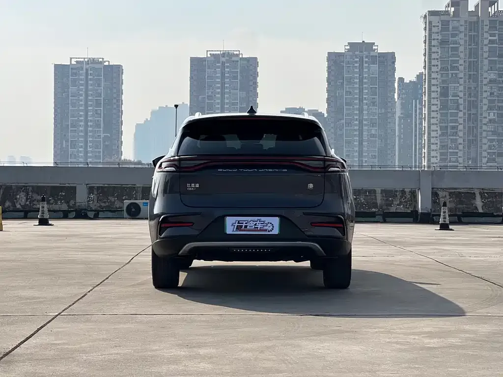 BYD Tang New Energy 2022 из CN, фото 4