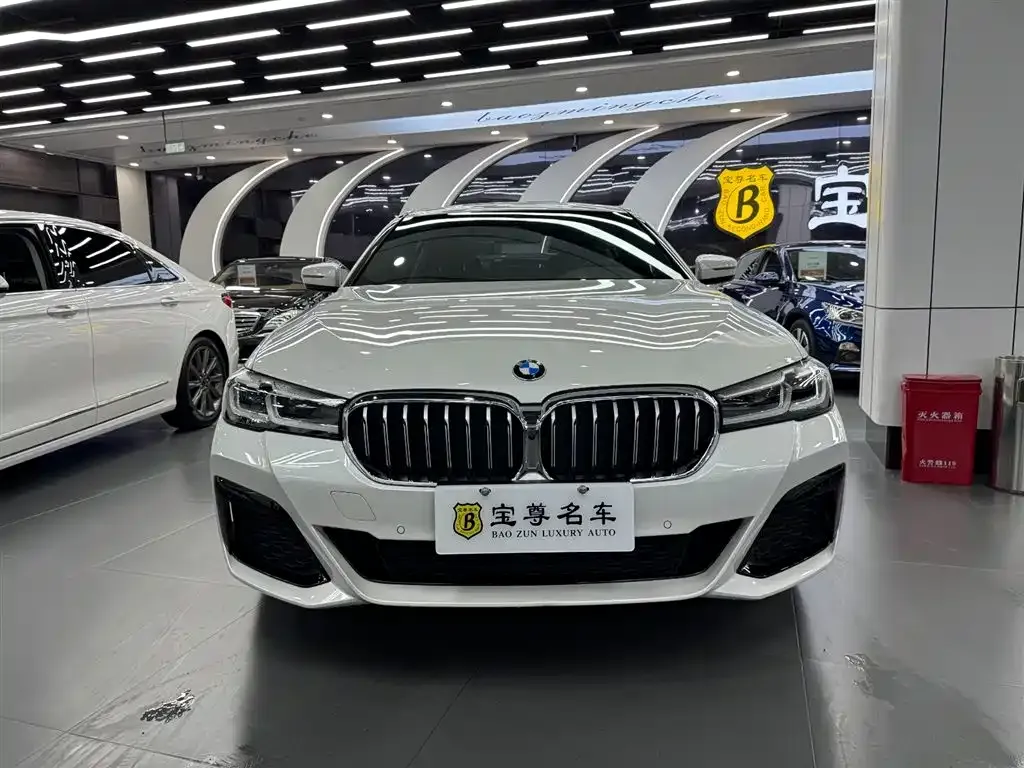 BMW 5 Series 2021 из CN, фото 1