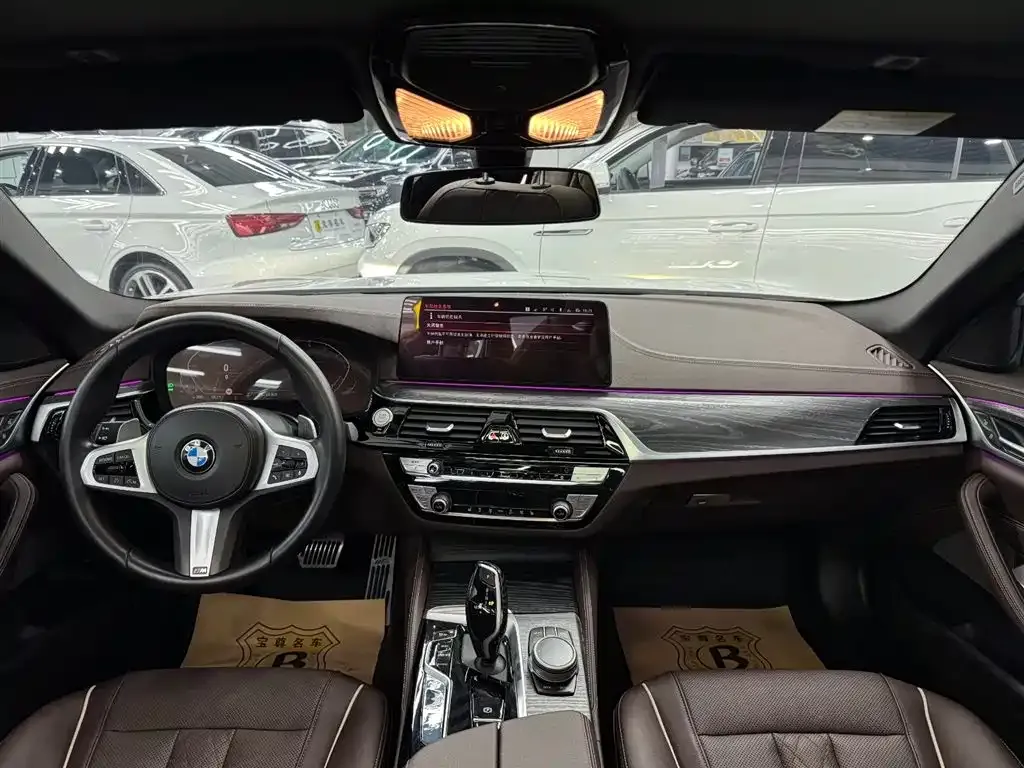 BMW 5 Series 2021 из CN, фото 10