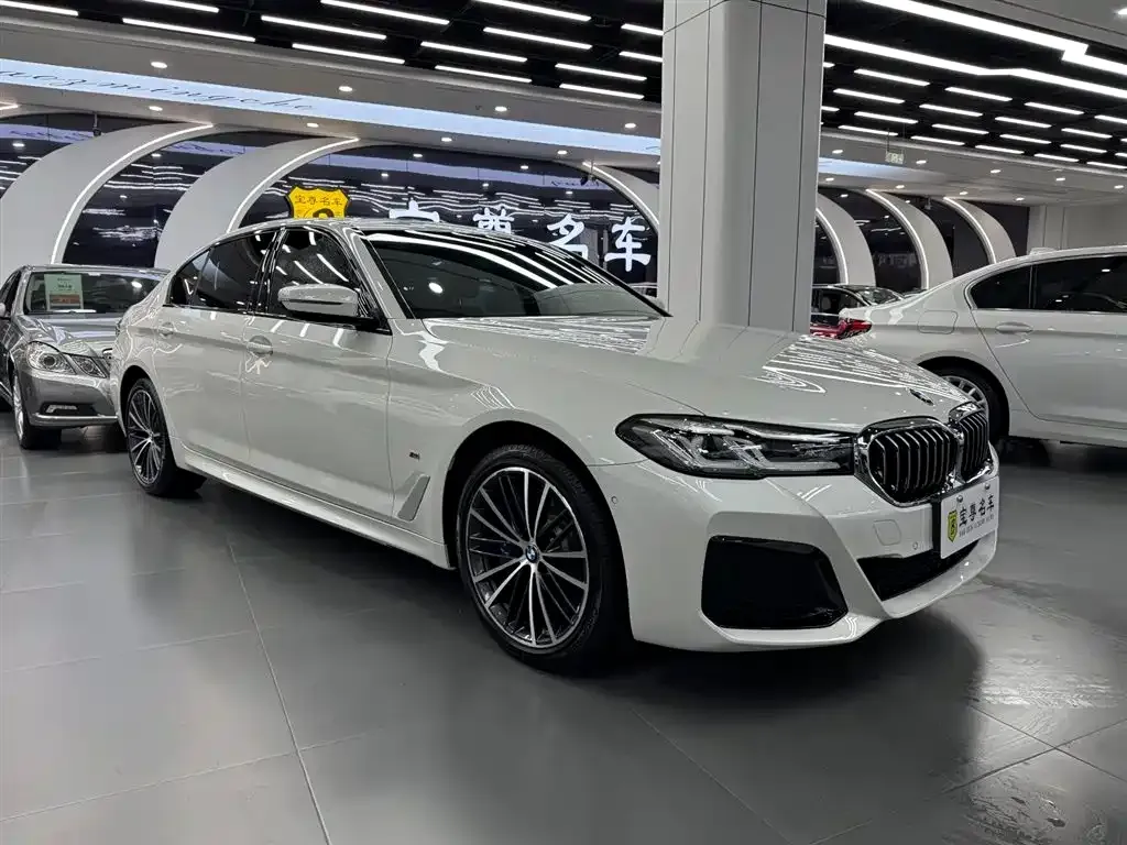 BMW 5 Series 2021 из CN, фото 2