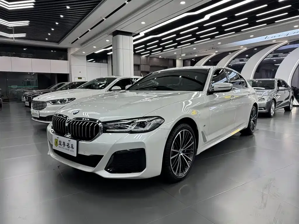 BMW 5 Series 2021 из CN, фото 3