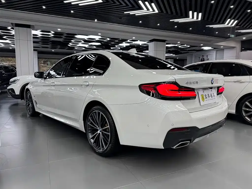 BMW 5 Series 2021 из CN, фото 4