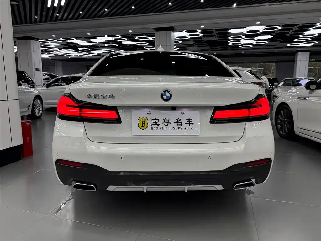 BMW 5 Series 2021 из CN, фото 5