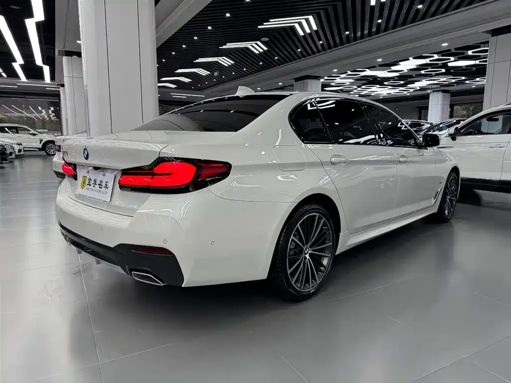 BMW 5 Series 2021 из CN, фото 6