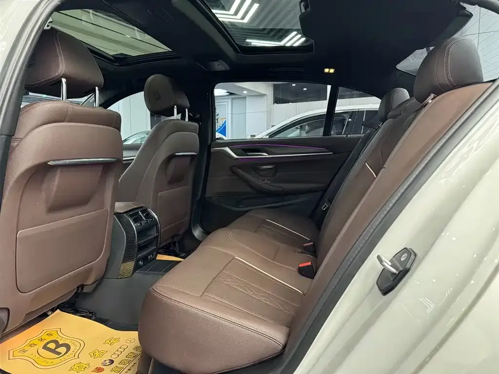 BMW 5 Series 2021 из CN, фото 8