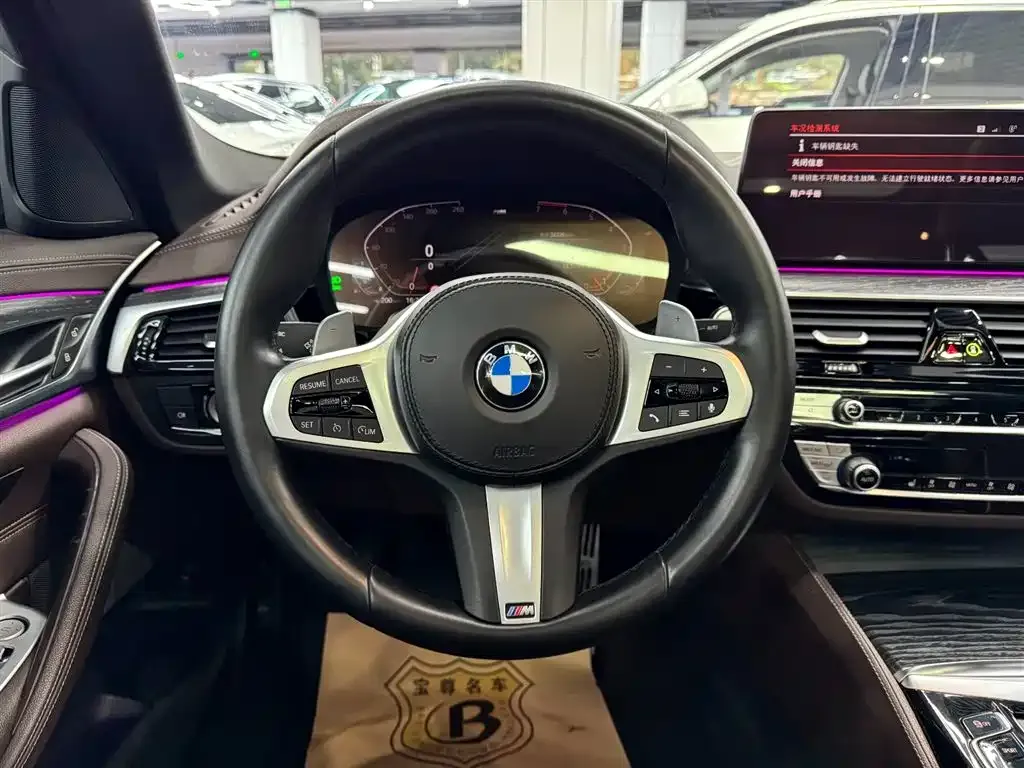 BMW 5 Series 2021 из CN, фото 9