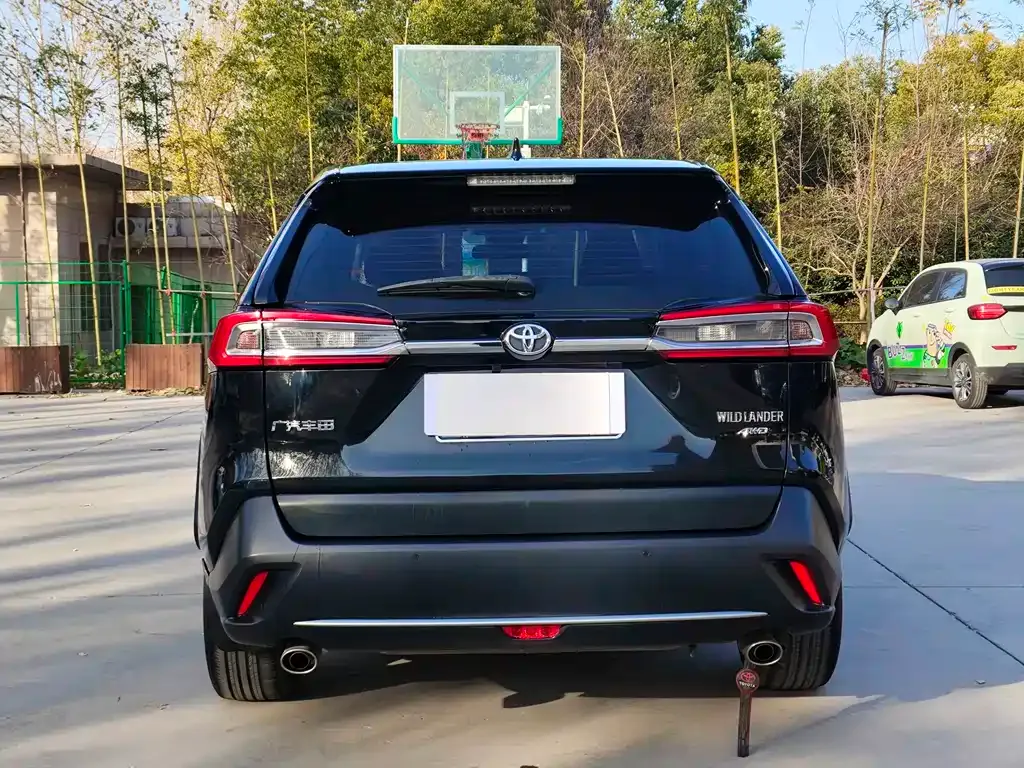 Toyota Wildlander 2021 из CN, фото 6
