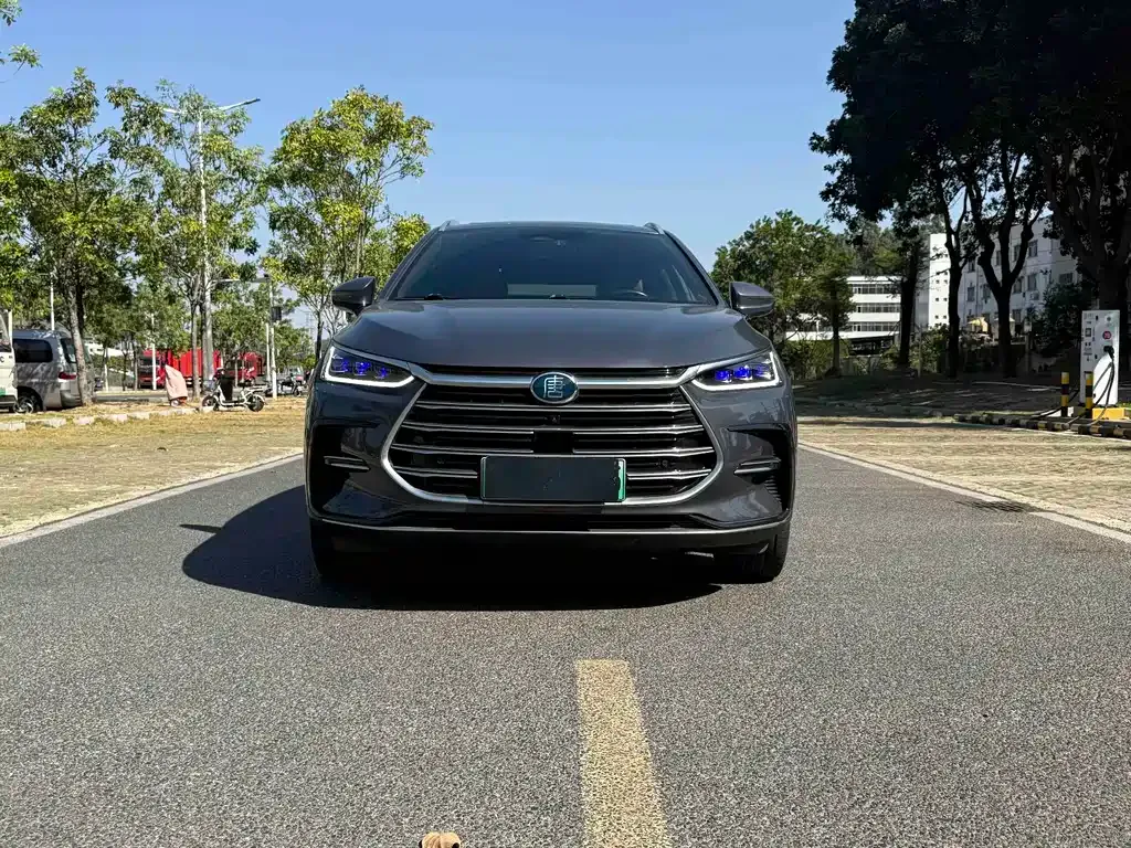 BYD Tang New Energy 2021 из CN, фото 2