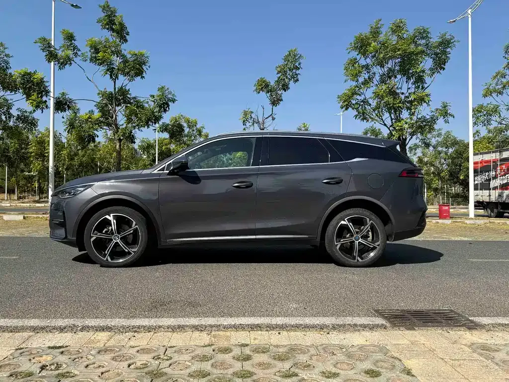 BYD Tang New Energy 2021 из CN, фото 4