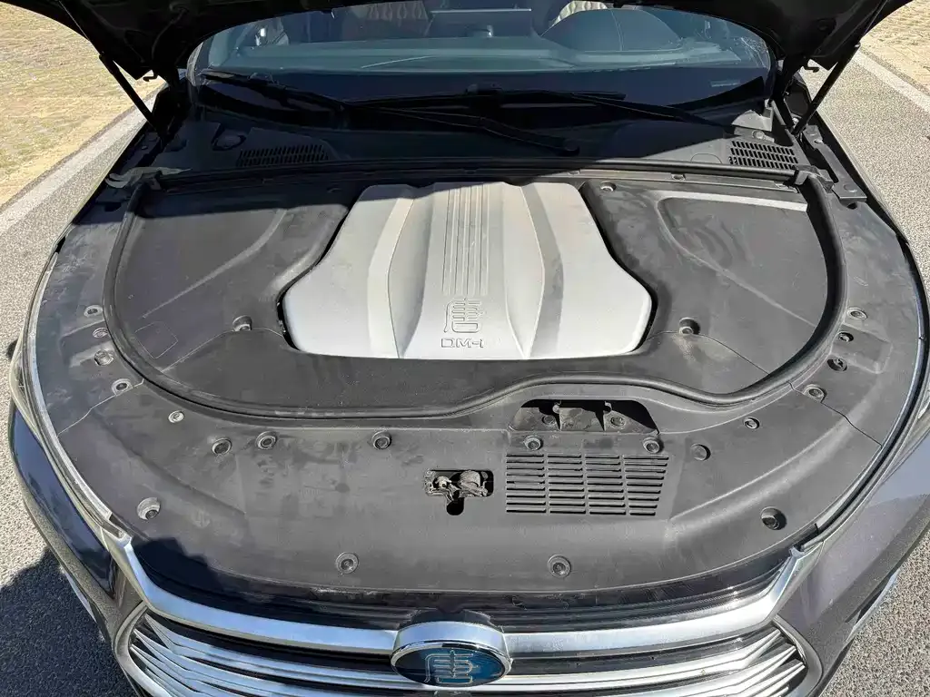 BYD Tang New Energy 2021 из CN, фото 9