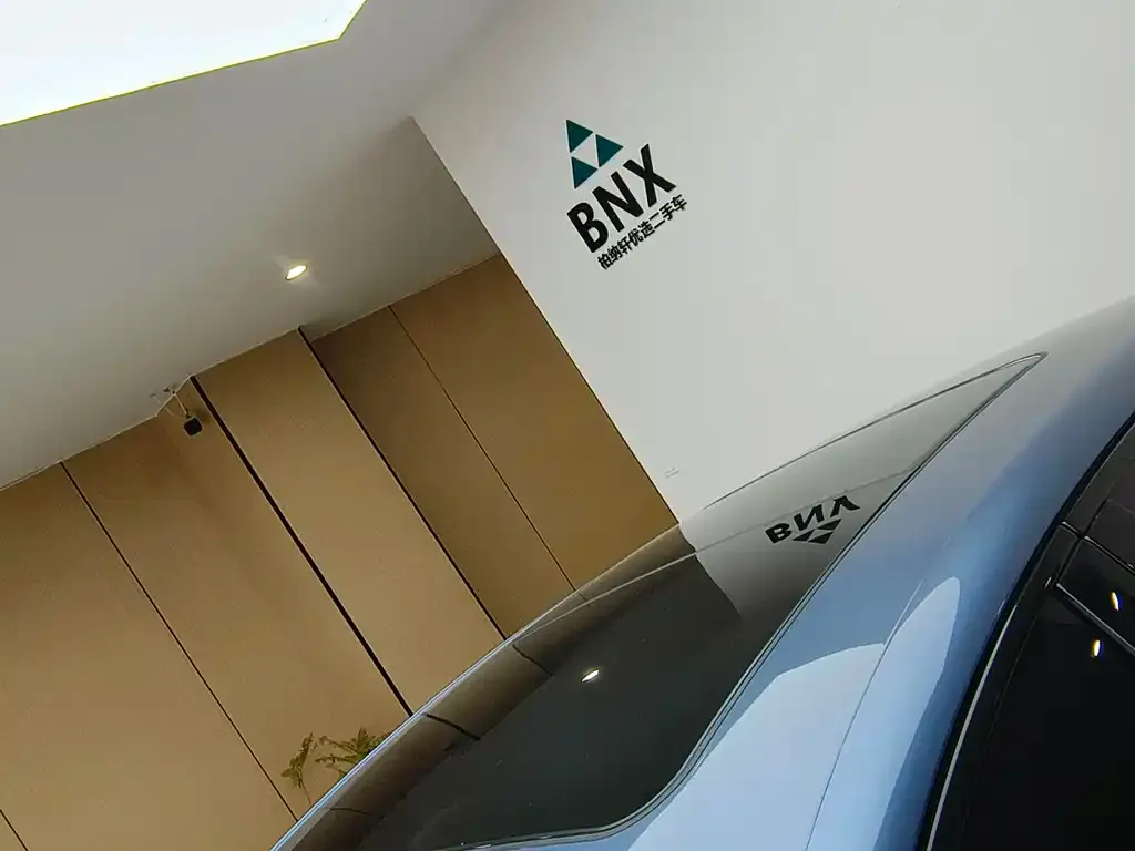 BYD Seal 07 DM-i 2025 из CN, фото 5