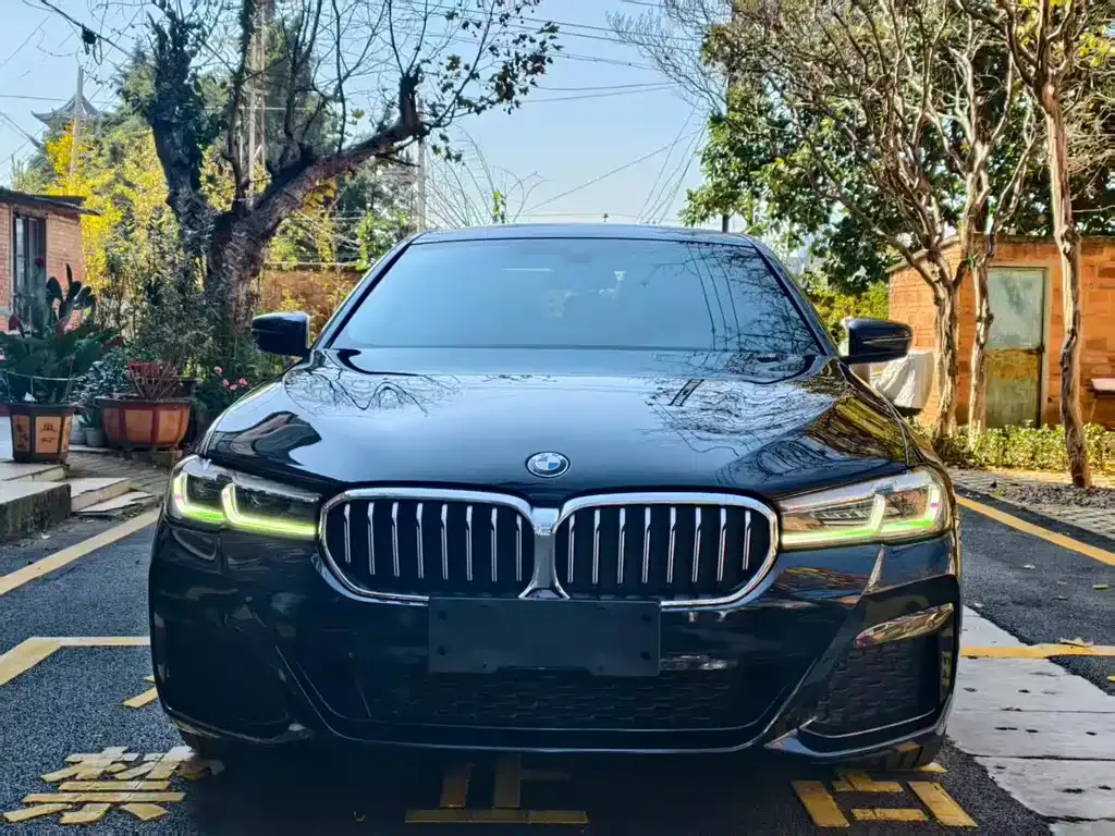BMW 5 Series 2023 из CN, фото 2