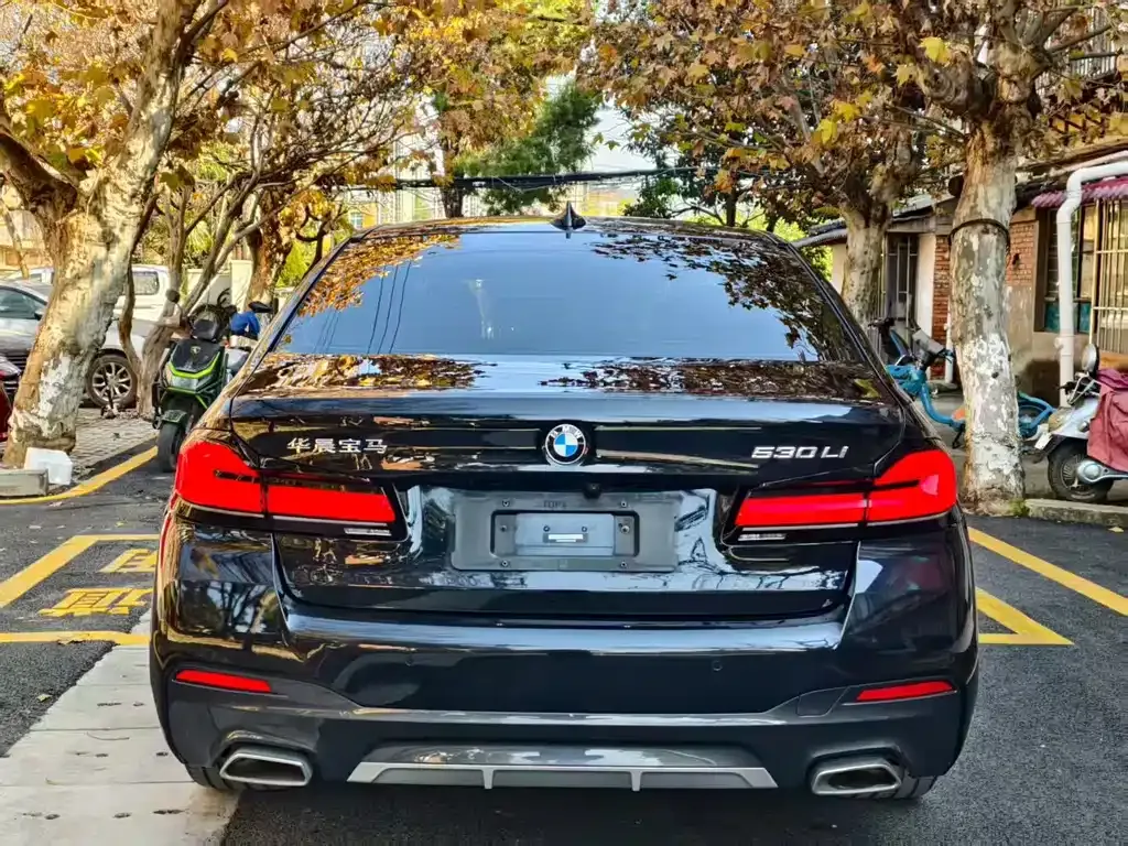 BMW 5 Series 2023 из CN, фото 8