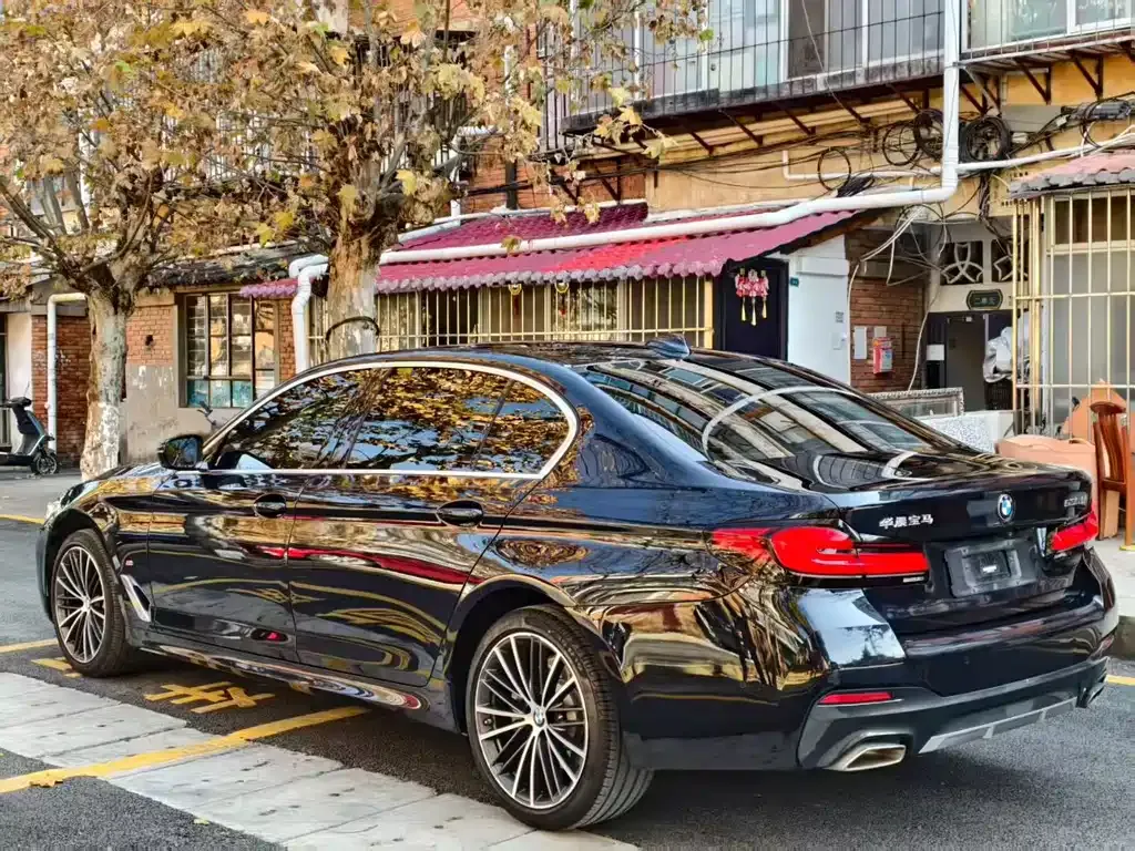 BMW 5 Series 2023 из CN, фото 9