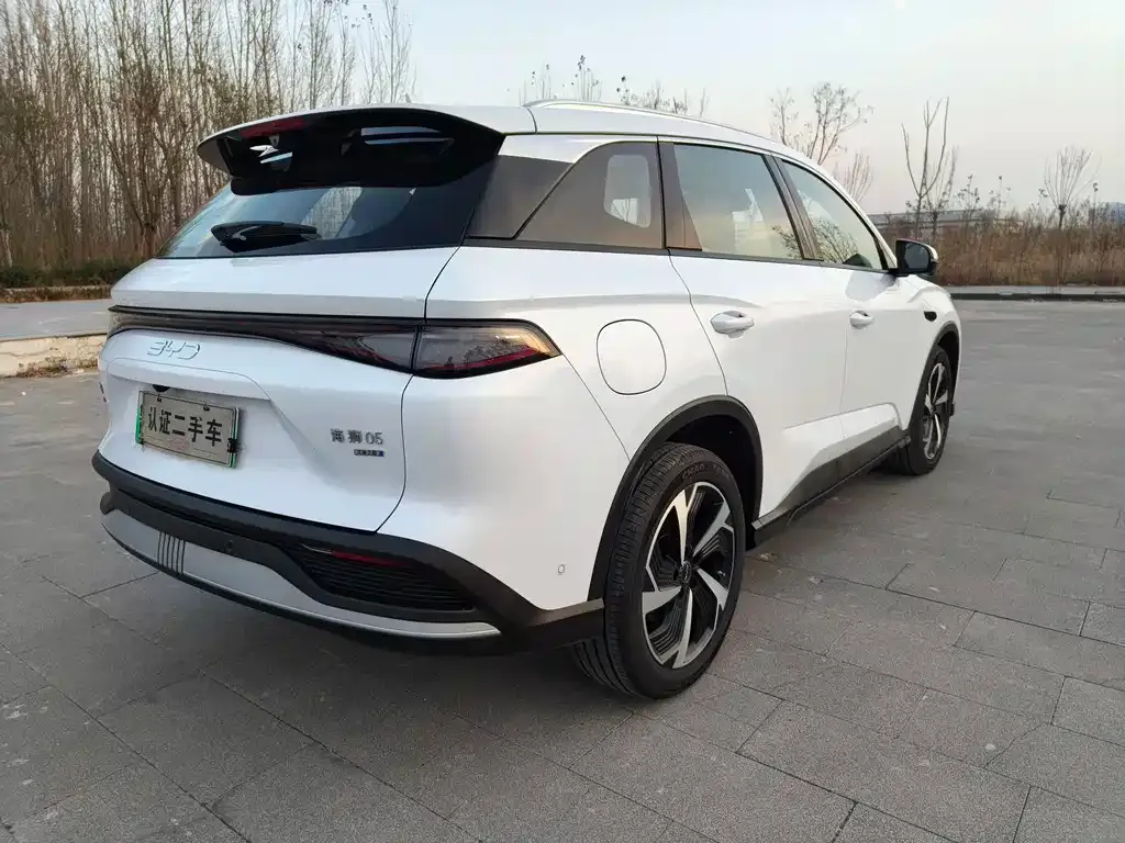 BYD Seal 05 DM-i 2025 из CN, фото 5