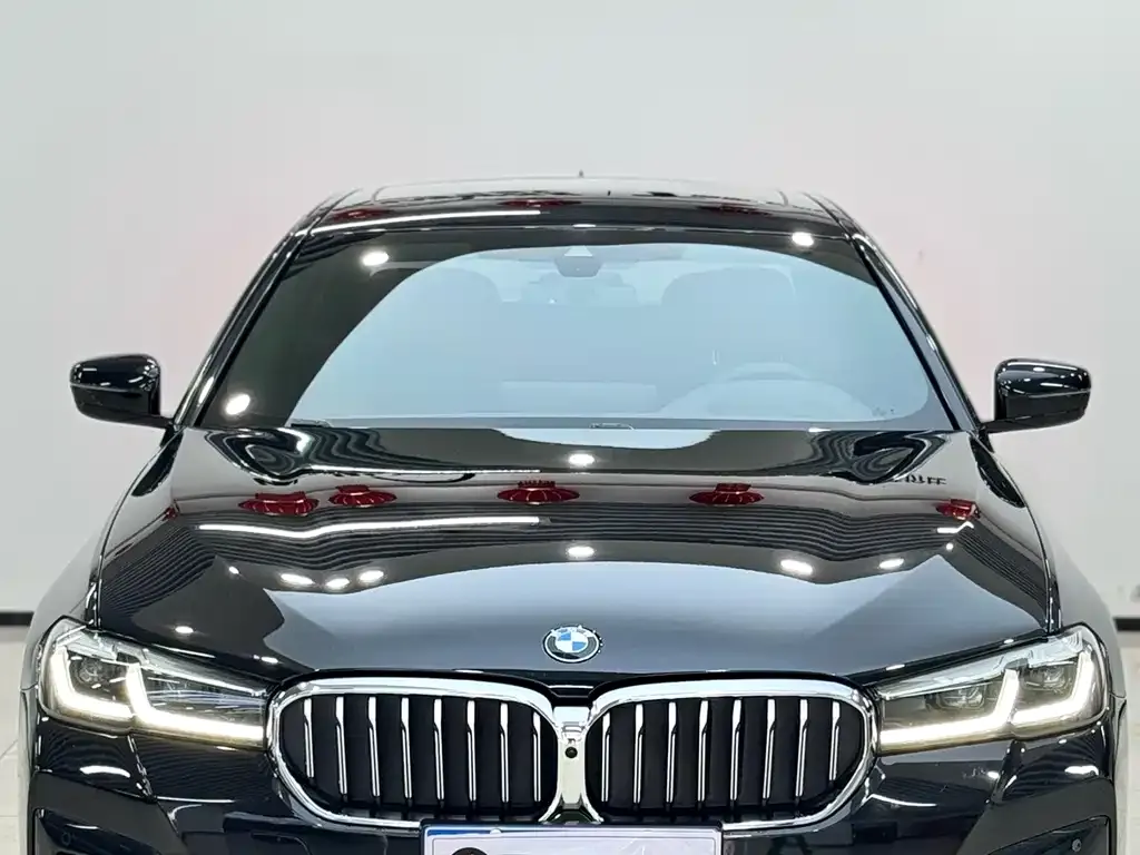 BMW 5 Series 2023 из CN, фото 2