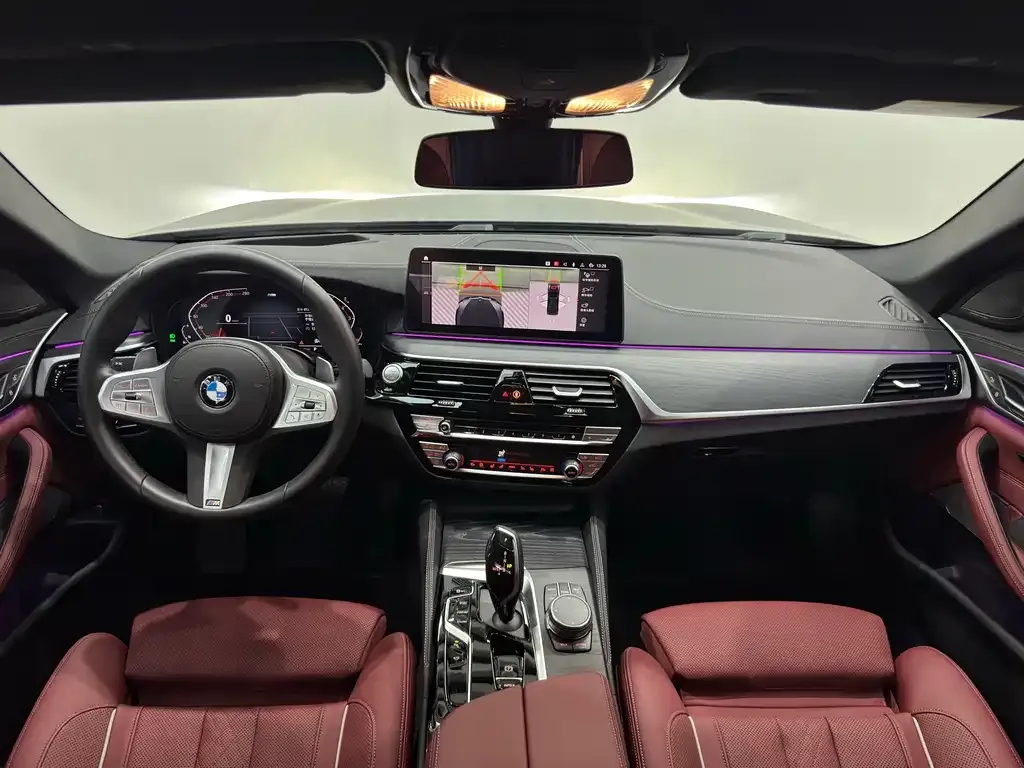BMW 5 Series 2023 из CN, фото 7