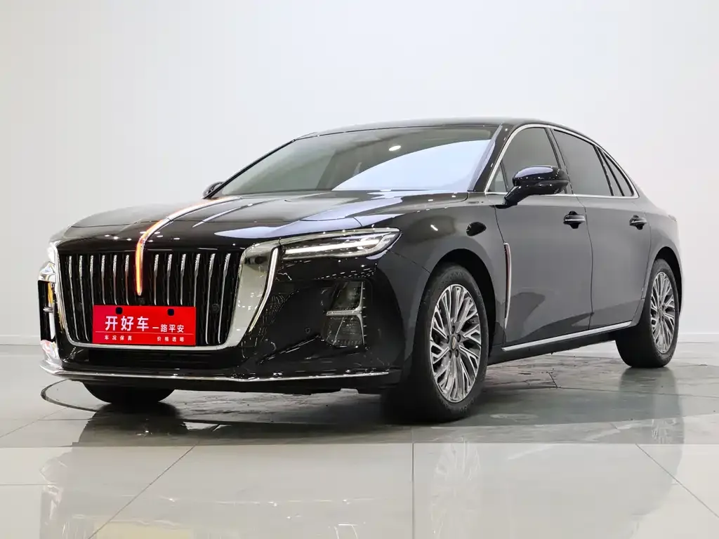 Hongqi H5 2024 из CN, фото 1