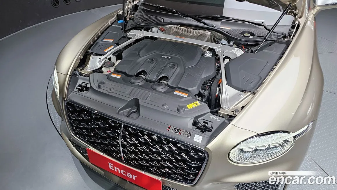 [object Object] Continental 2025 из KR, фото 6