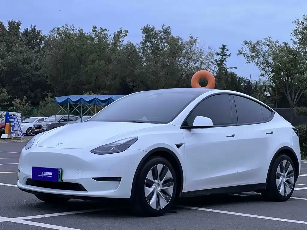 Tesla Model Y 2022 из CN, фото 1