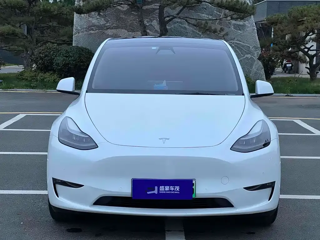 Tesla Model Y 2022 из CN, фото 2