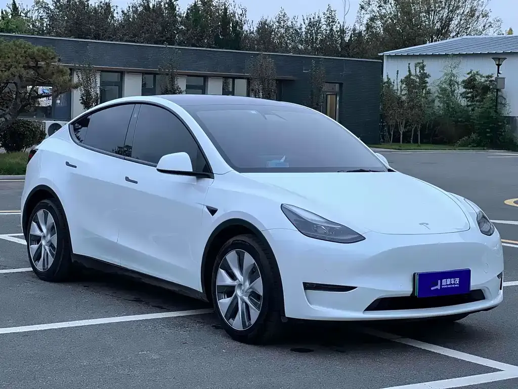 Tesla Model Y 2022 из CN, фото 3