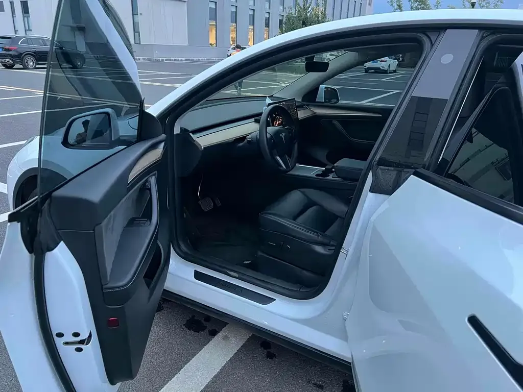 Tesla Model Y 2022 из CN, фото 4