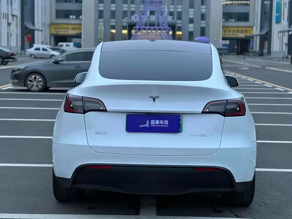 Tesla Model Y 2022 из CN, фото 8