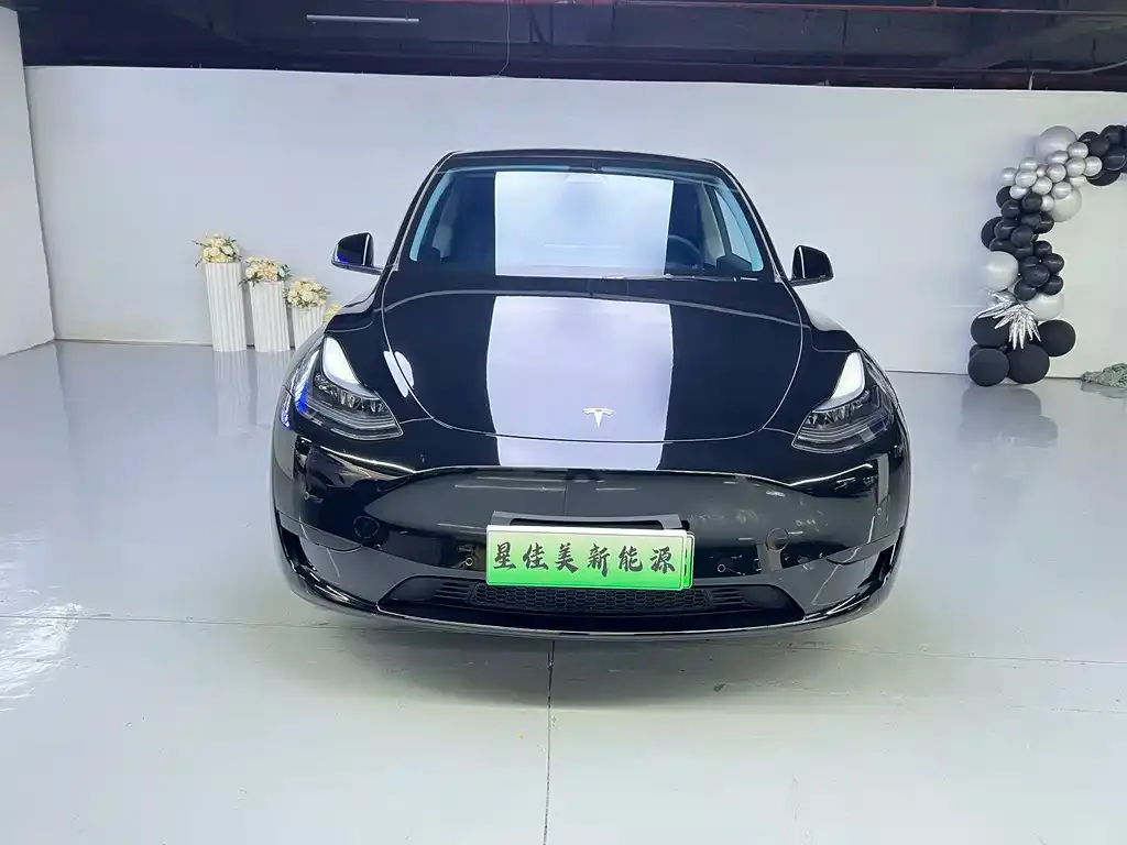 Tesla Model Y 2023 из CN, фото 2