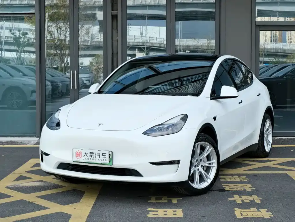 Tesla Model Y 2021 из CN, фото 1