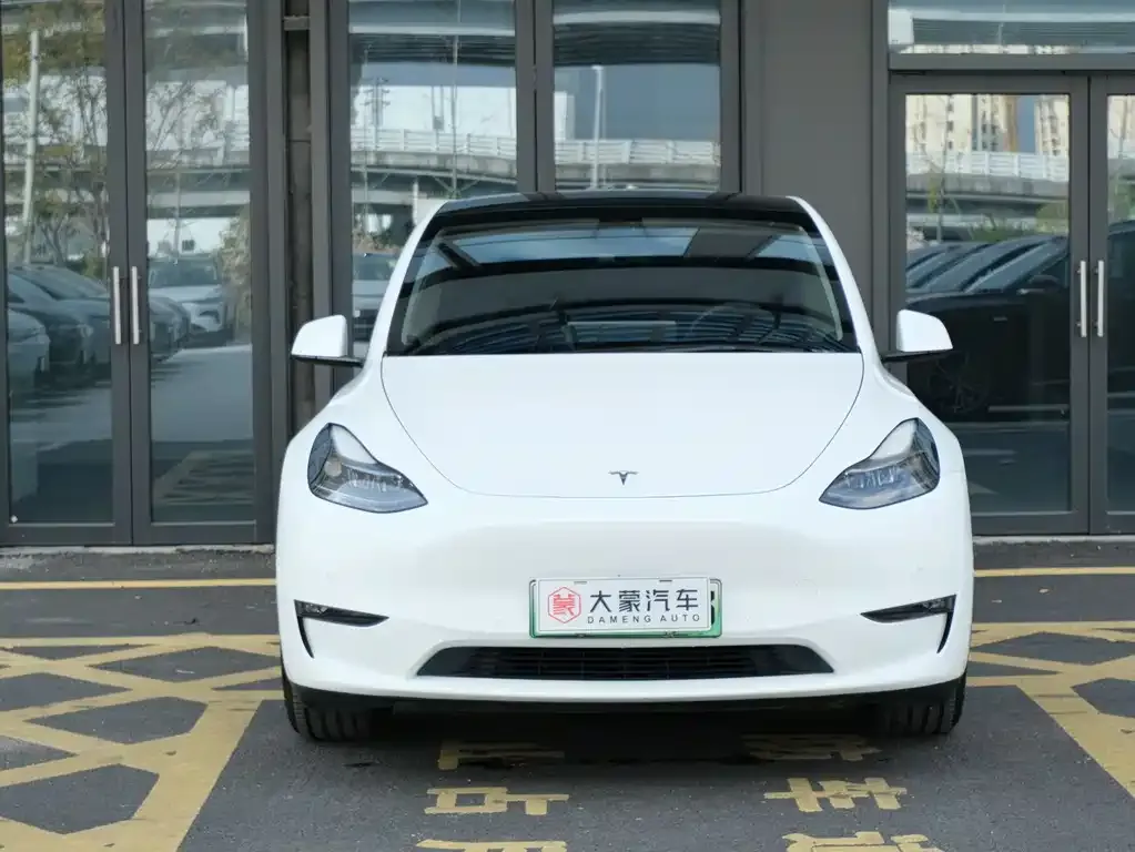Tesla Model Y 2021 из CN, фото 2