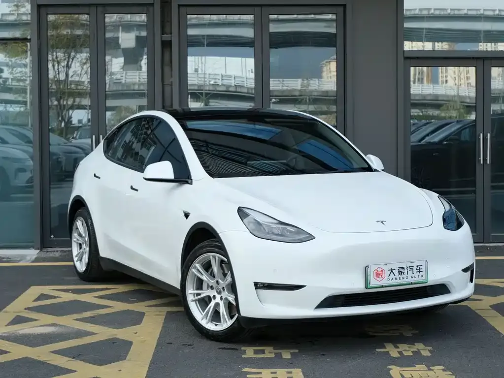Tesla Model Y 2021 из CN, фото 3