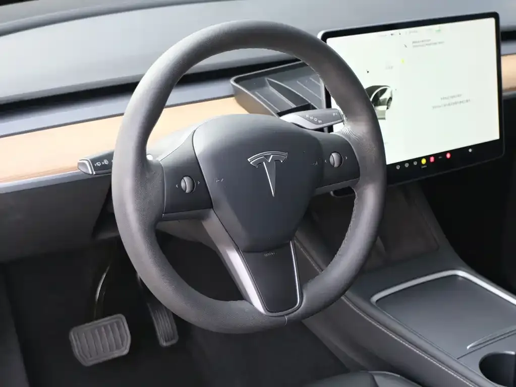 Tesla Model Y 2021 из CN, фото 4