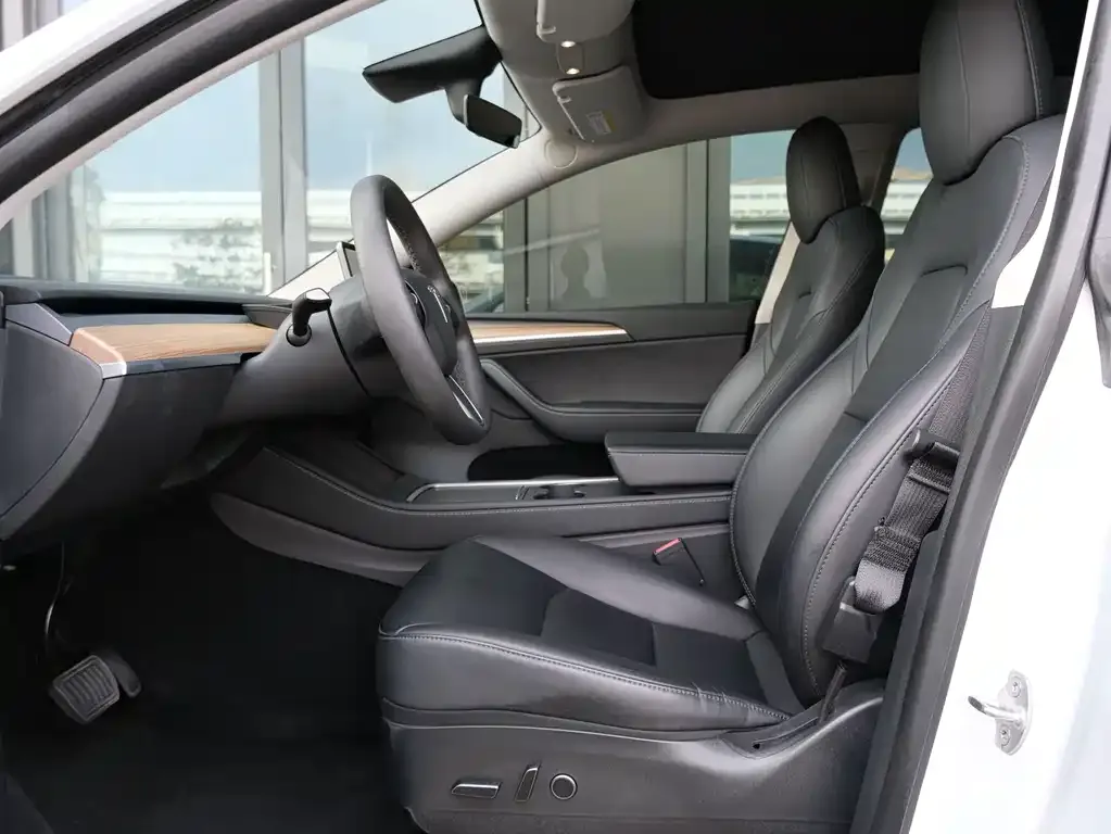 Tesla Model Y 2021 из CN, фото 5