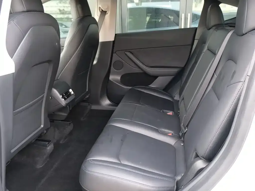Tesla Model Y 2021 из CN, фото 6