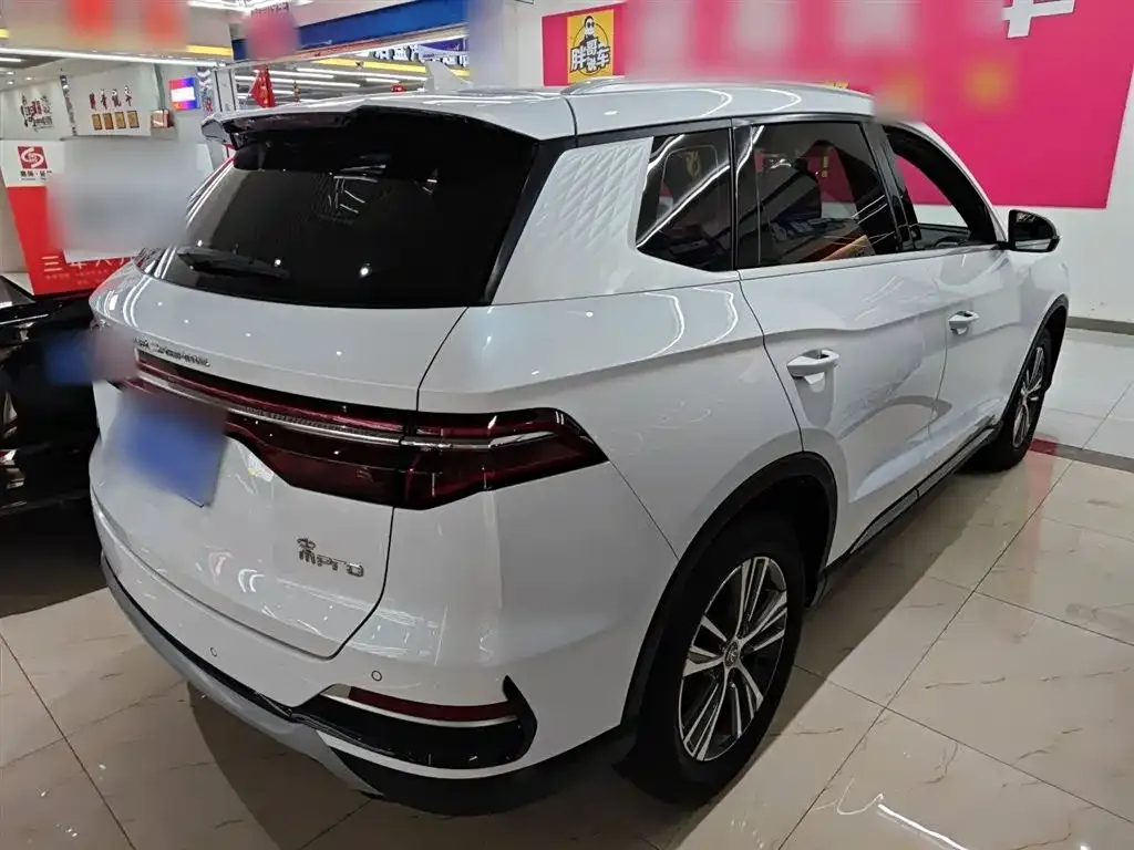 BYD Pro 2021 из CN, фото 5