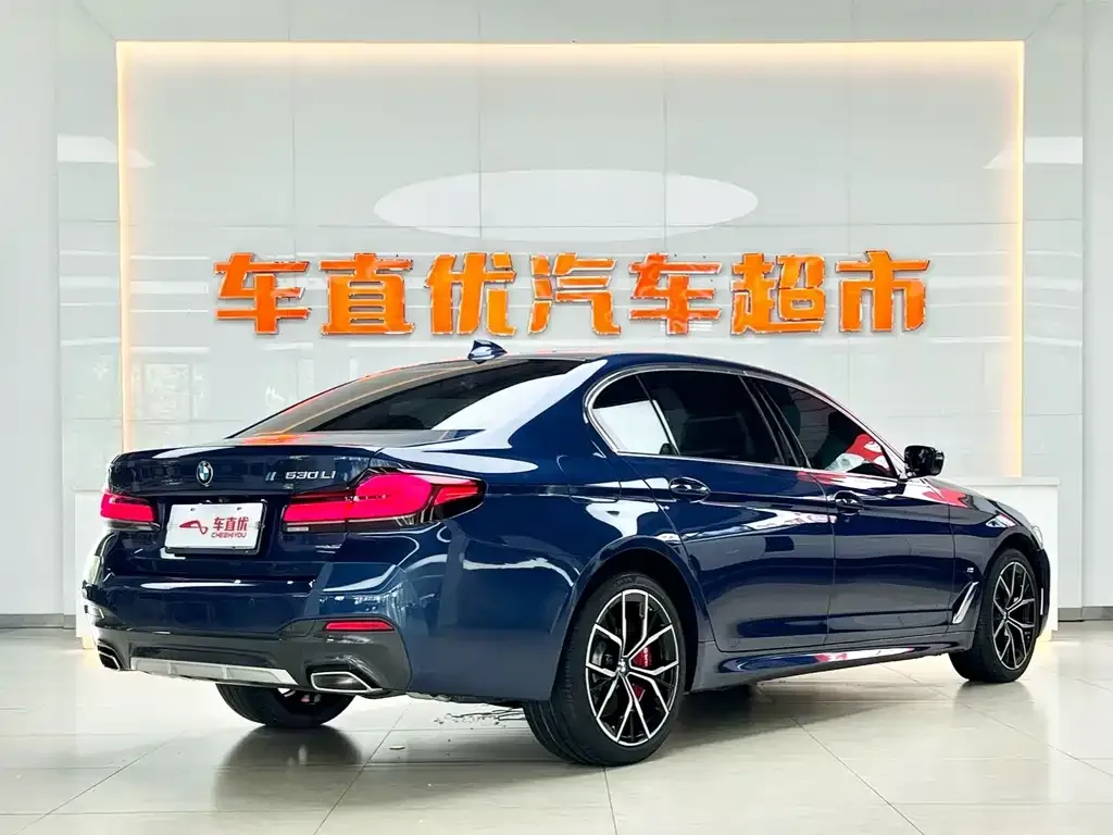 BMW 5 Series 2023 из CN, фото 5