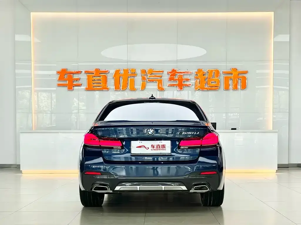 BMW 5 Series 2023 из CN, фото 6