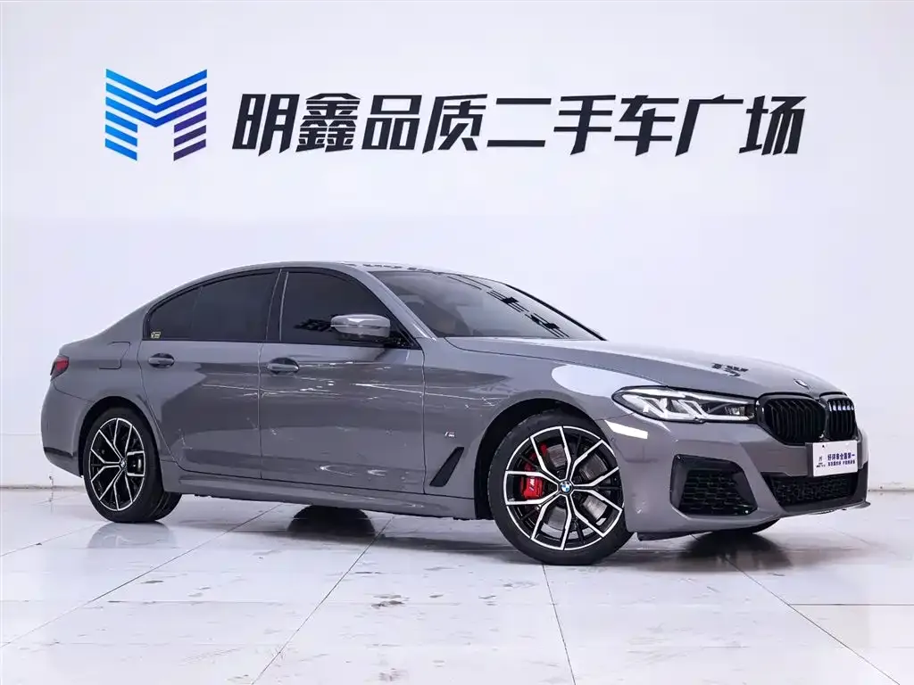 BMW 5 Series (Import) 2022 из CN, фото 5
