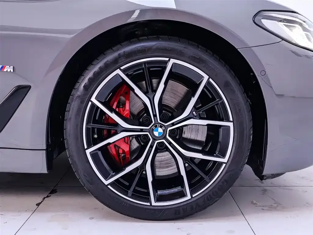 BMW 5 Series (Import) 2022 из CN, фото 6